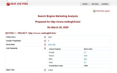 So what’s new? A FREE SEO Report Service!